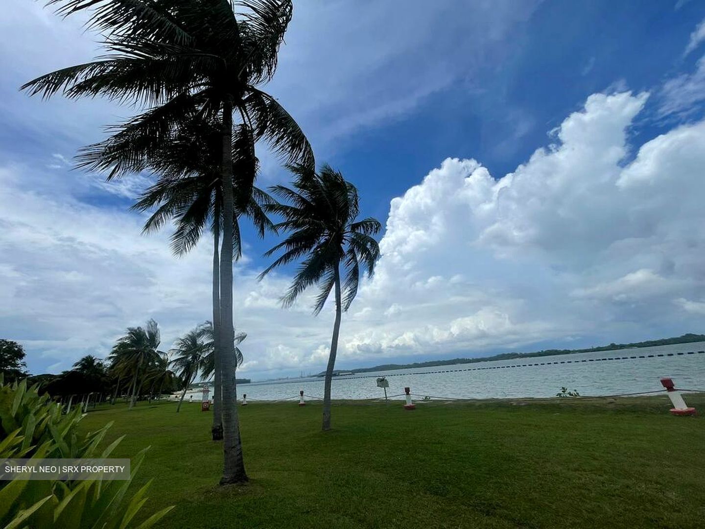 Pasir Ris Beach Park (D18), Semi-Detached #496784381